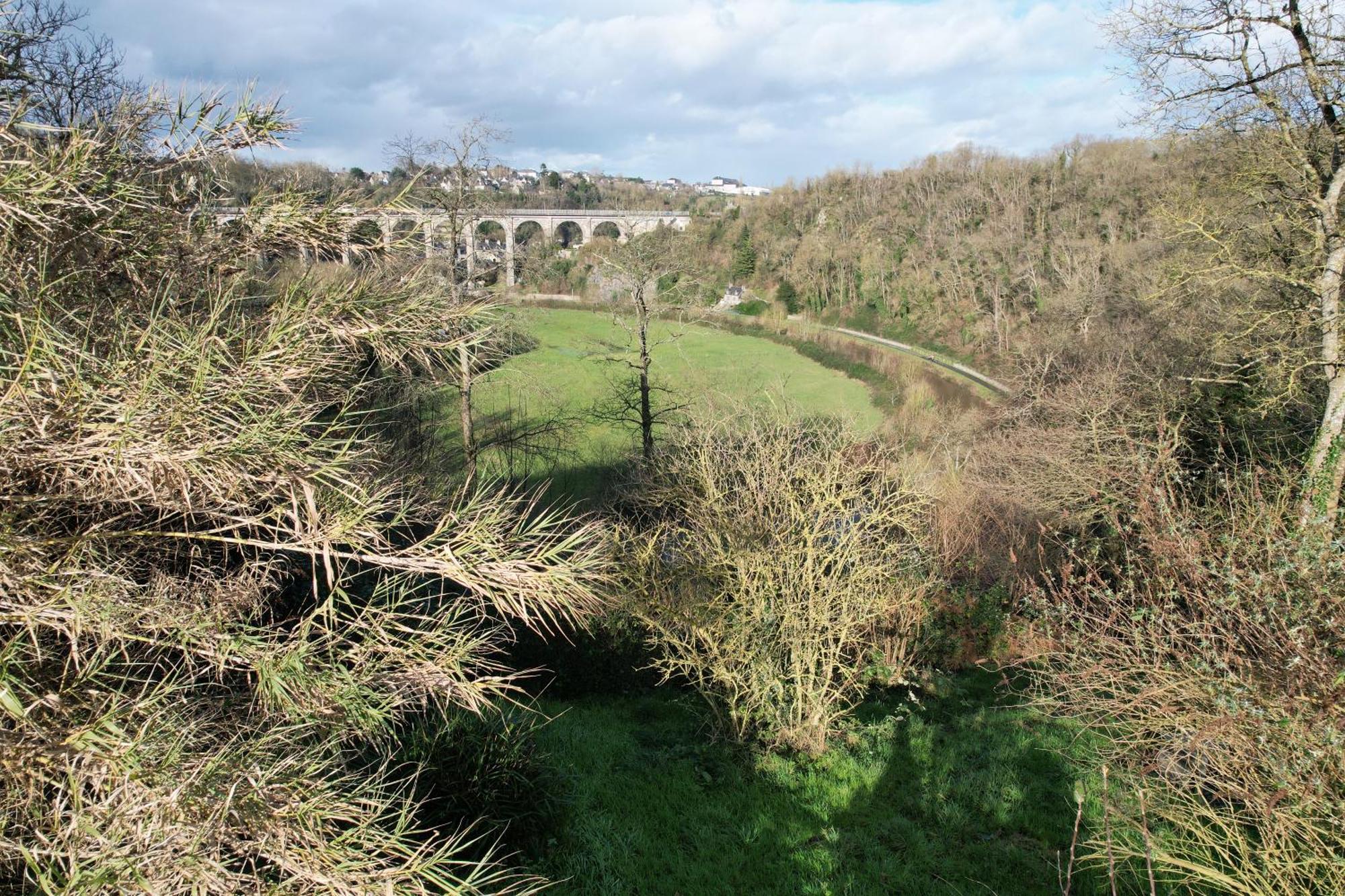 O Bois Dormant- Studio Vue Rance River Et Viaduc De Dinan Lanvallay ภายนอก รูปภาพ