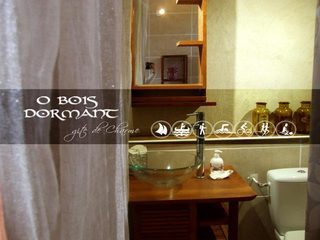 O Bois Dormant- Studio Vue Rance River Et Viaduc De Dinan Lanvallay ภายนอก รูปภาพ