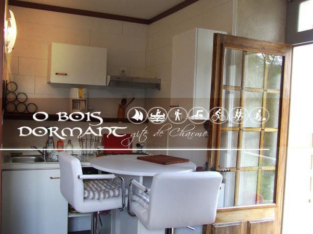 O Bois Dormant- Studio Vue Rance River Et Viaduc De Dinan Lanvallay ภายนอก รูปภาพ